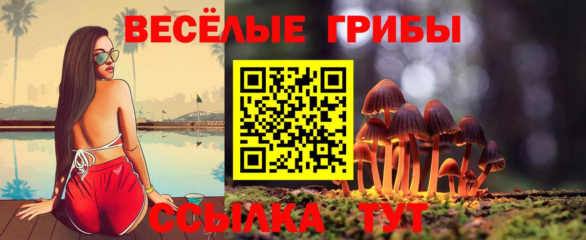 закладка  Галлюциногенные грибы ЛСД  Вход с VPN  Россия 